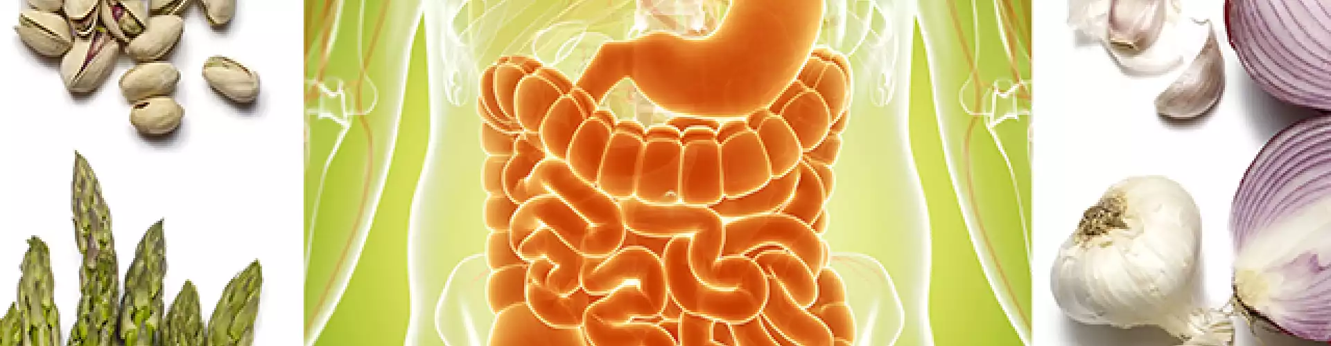 Gut Health and Why It's So Important - Online Class by Katie Bressack HHC