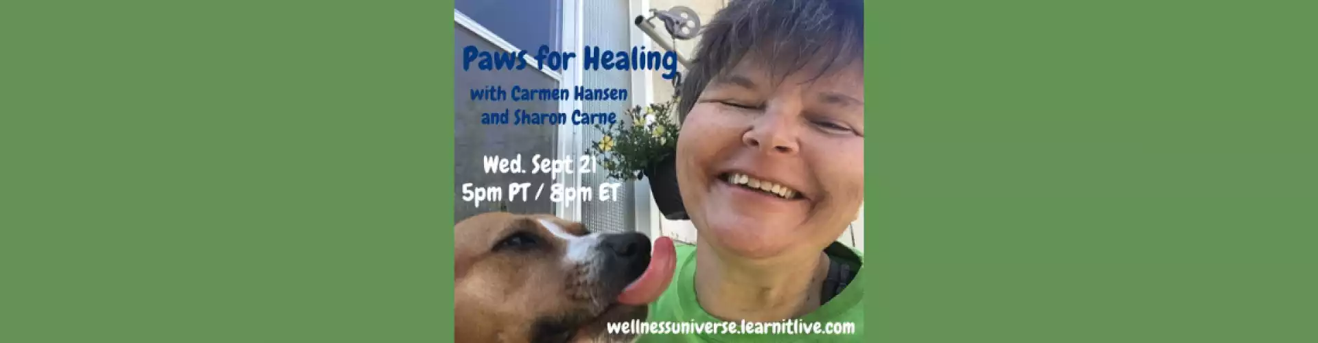 Paws for Healing - Online Class by Sharon Carne