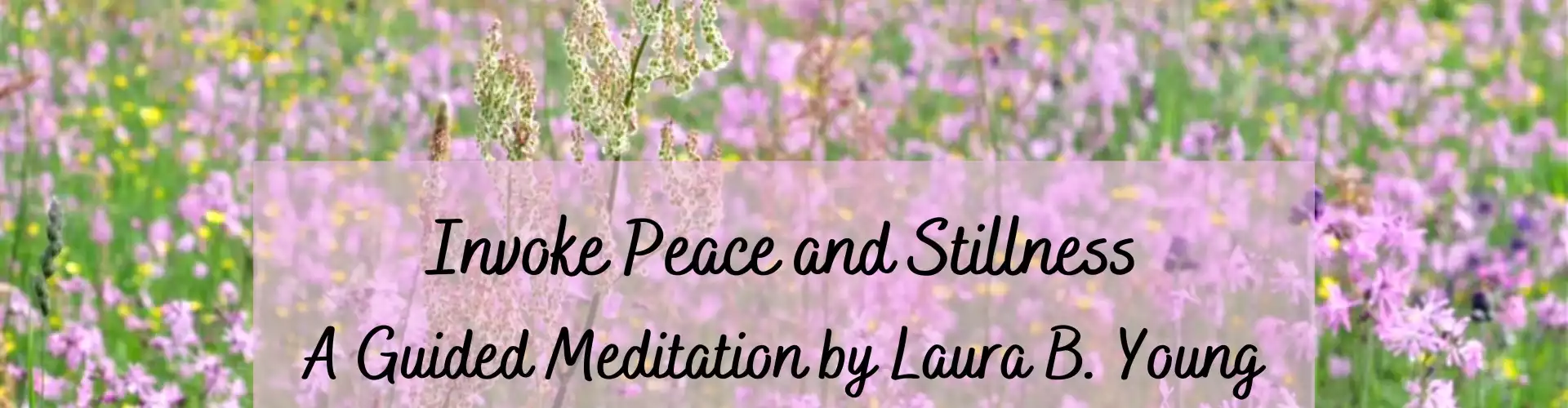 Invocar la paz y la quietud: una meditación guiada - Online Class by Laura B. Young